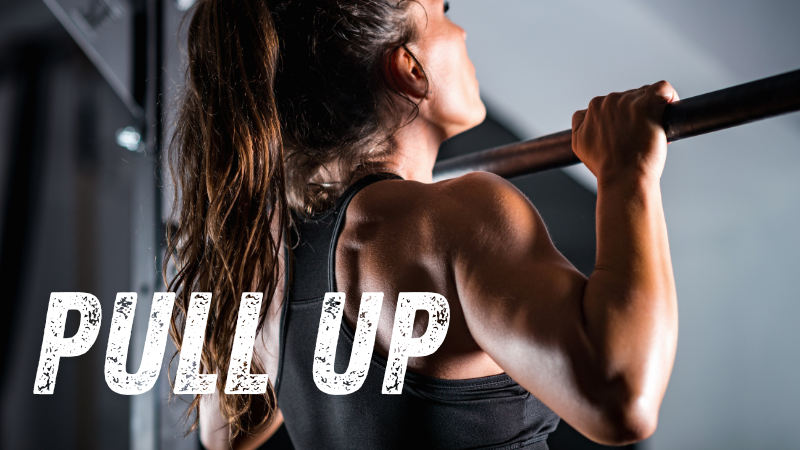Thumbnail für Pull-Up Progressions